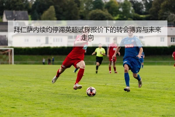 img_1781195948250_723_1_497.jpg