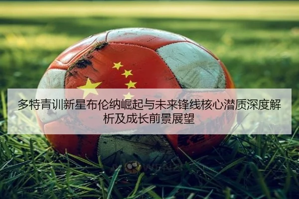 多特青训新星布伦纳崛起与未来锋线核心潜质深度解析及成长前景展望